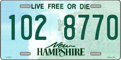 NH license plate 1028770