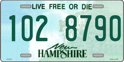 NH license plate 1028790