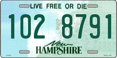 NH license plate 1028791