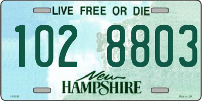 NH license plate 1028803