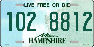NH license plate 1028812