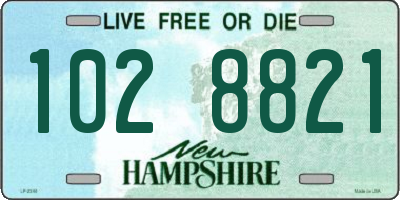 NH license plate 1028821