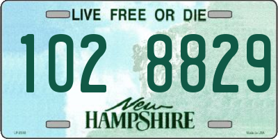 NH license plate 1028829
