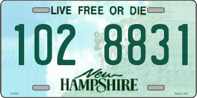 NH license plate 1028831