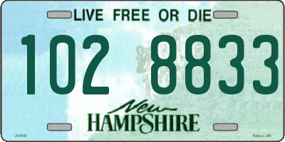 NH license plate 1028833