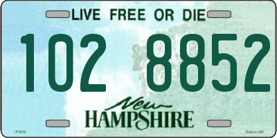 NH license plate 1028852