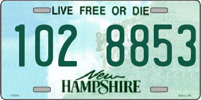 NH license plate 1028853