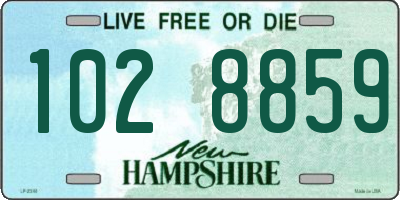 NH license plate 1028859
