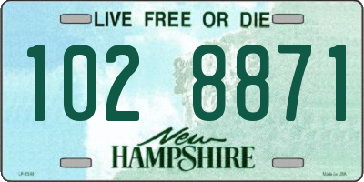 NH license plate 1028871