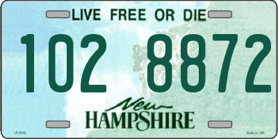 NH license plate 1028872