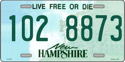 NH license plate 1028873