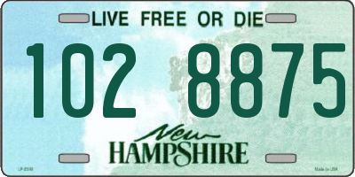 NH license plate 1028875