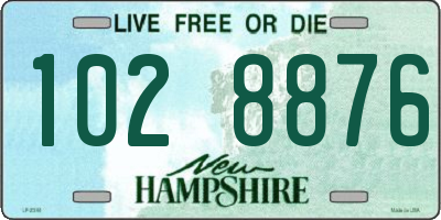 NH license plate 1028876