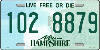 NH license plate 1028879