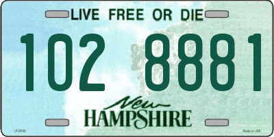 NH license plate 1028881