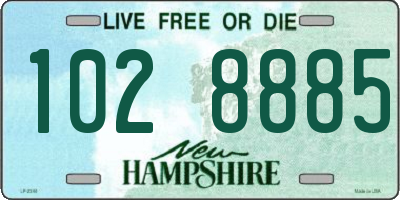 NH license plate 1028885