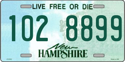 NH license plate 1028899
