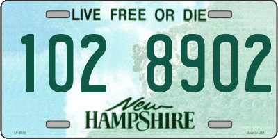 NH license plate 1028902