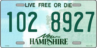 NH license plate 1028927