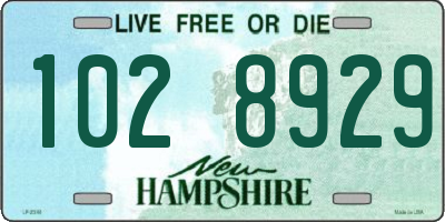 NH license plate 1028929