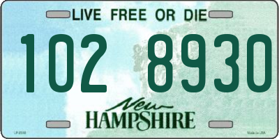 NH license plate 1028930