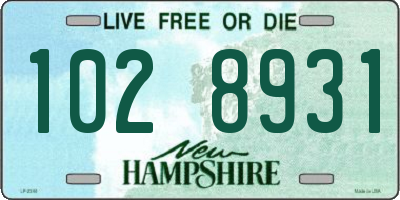 NH license plate 1028931