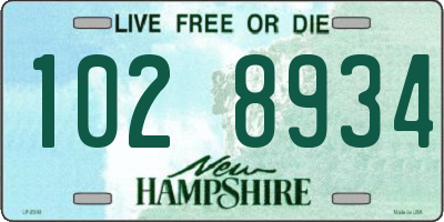 NH license plate 1028934