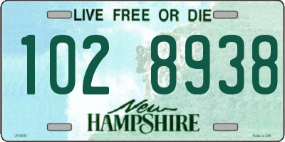 NH license plate 1028938