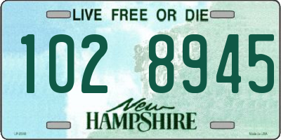 NH license plate 1028945