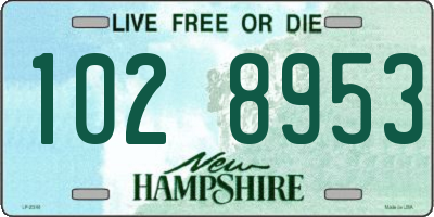 NH license plate 1028953