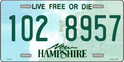 NH license plate 1028957
