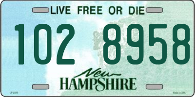 NH license plate 1028958