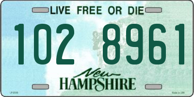 NH license plate 1028961