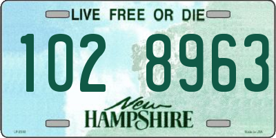 NH license plate 1028963