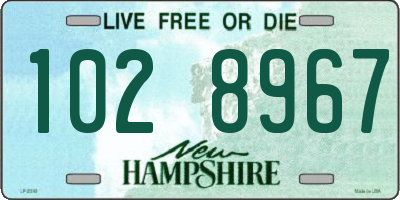 NH license plate 1028967