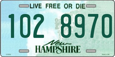 NH license plate 1028970