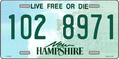 NH license plate 1028971