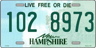 NH license plate 1028973