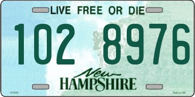 NH license plate 1028976