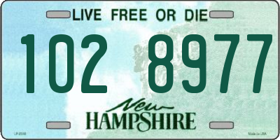 NH license plate 1028977