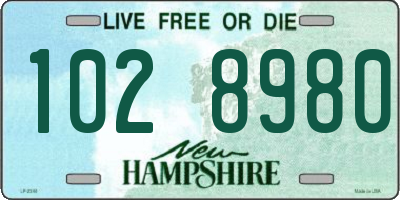 NH license plate 1028980