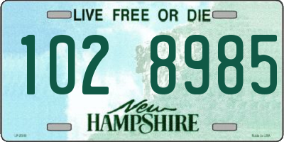 NH license plate 1028985