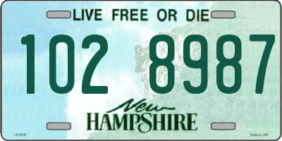 NH license plate 1028987