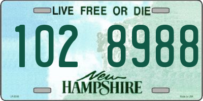 NH license plate 1028988