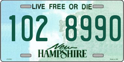 NH license plate 1028990