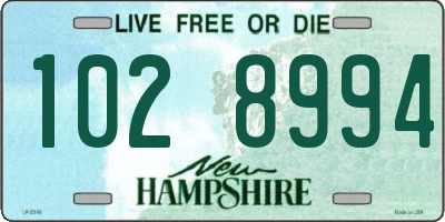 NH license plate 1028994