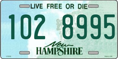NH license plate 1028995