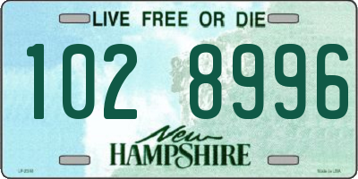 NH license plate 1028996