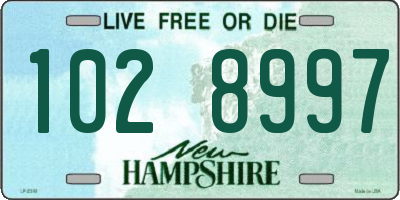 NH license plate 1028997