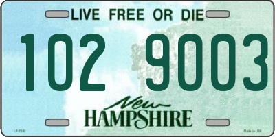 NH license plate 1029003